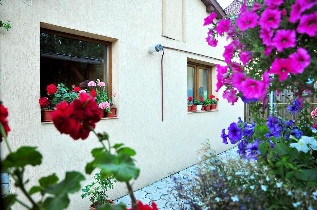 Casa Maria Otel Gura Humorului Dış mekan fotoğraf